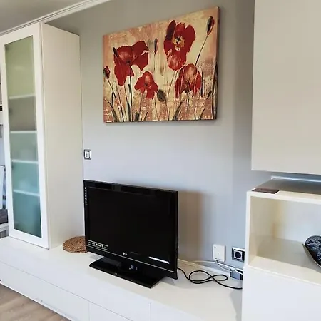 Joaquin Loriga Diseno Centro *